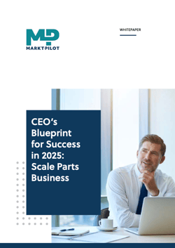 240422_CEOs Success Blueprint 2025